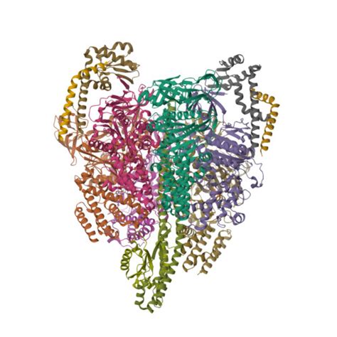 Rcsb Pdb Homepage