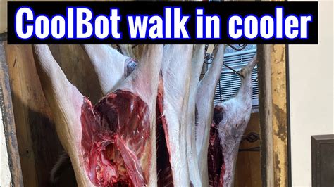 Coolbot Walk In Cooler For Deer Processing Youtube