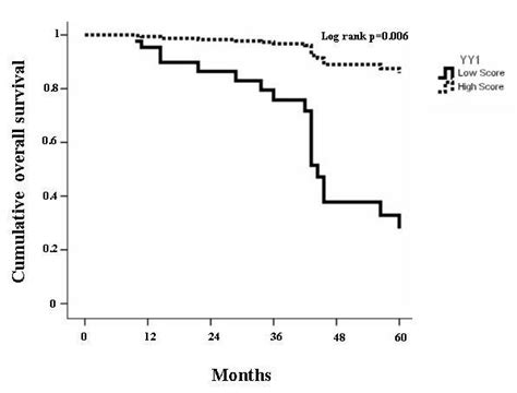 Cox Regression Of Cumulative Survival Rate Of All Patients The Graph