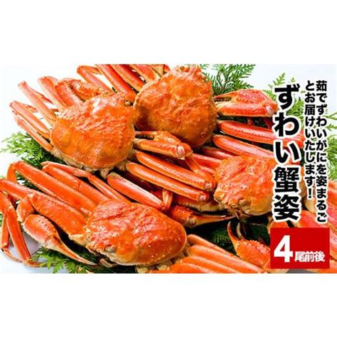 ふるさと納税 カニ ずわいガニ 北海道 根室市 B 25019 本ずわいがに姿 4尾前後計2kg 5664931 ふるさとチョイス