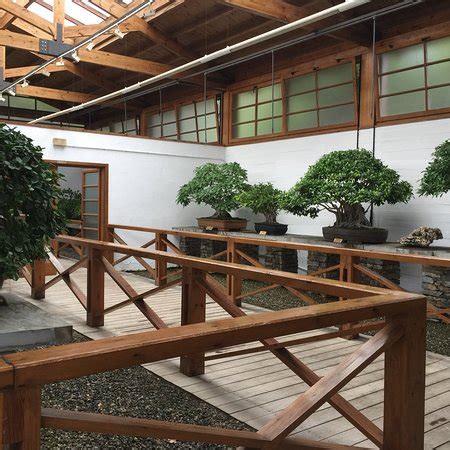 Museo del Bonsai Marbella 2018 Qué saber antes de ir Lo más