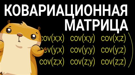 Ковариационная матрица - YouTube