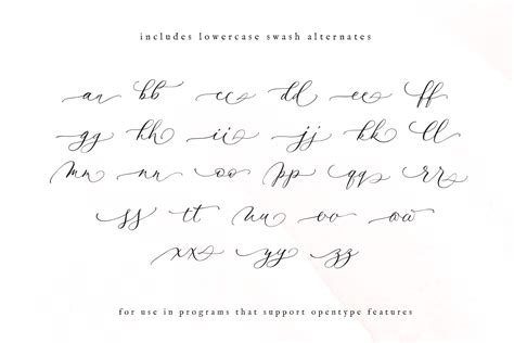 Handwritten Modern Calligraphy Font