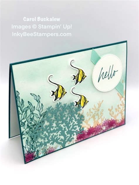 Stampin Up Beauty Of The Deep All Occasion Card For The Happy Inkin