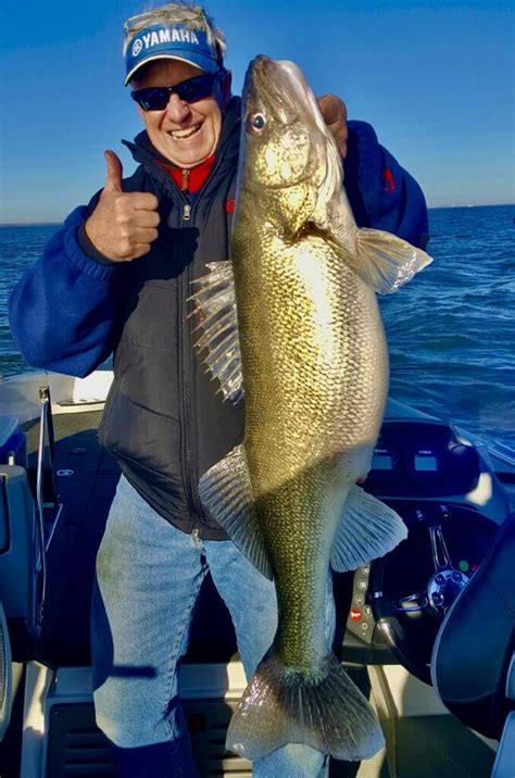 Columbia River Walleye Secrets Guides Tips To Catching Trophy Walleye