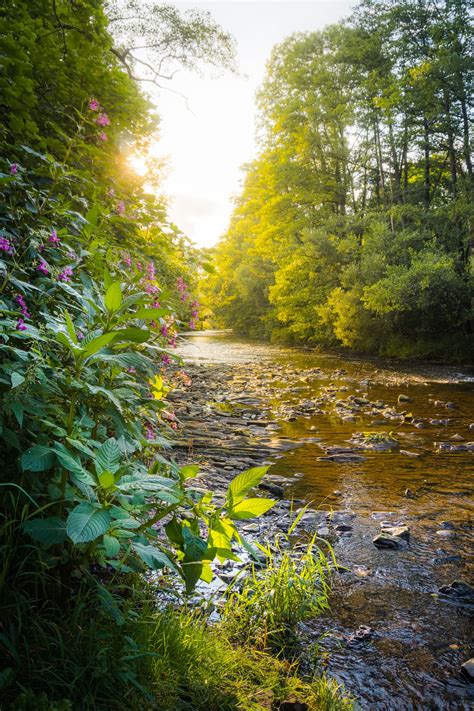 A Peaceful River Nature Photography Nature River