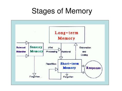 Ppt Memory Chapter 6 Part I Powerpoint Presentation Free Download