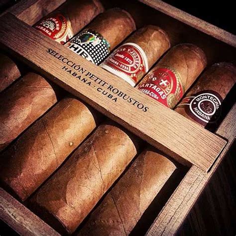 Fine Collection Of Petite Robusto S Cuban Cigars Seleccion Petit