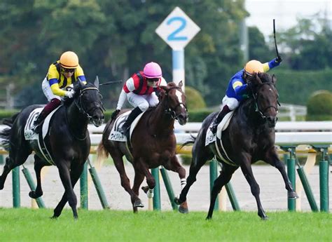 ＜東京5r新馬戦＞レースを制したテラフォーミング（右端）＝撮影・郡司 修 ― スポニチ Sponichi Annex ギャンブル