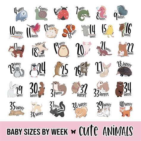 26 Weeks Pregnant Baby Size