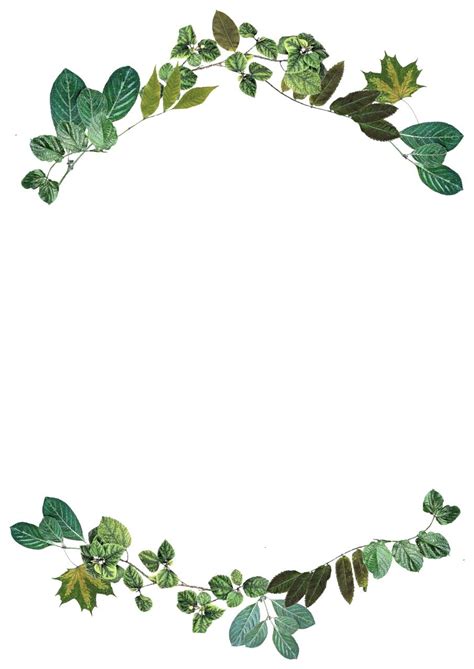 Leaf Border