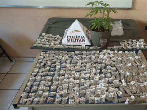 Marcelo Lopes Pol Cia Militar Faz Grande Apreens O De Maconha Em Al M