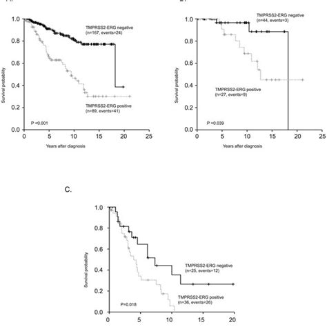 Erg Expression In Tumor Cells Predicts Survival Of Prostate Cancer Download Scientific Diagram