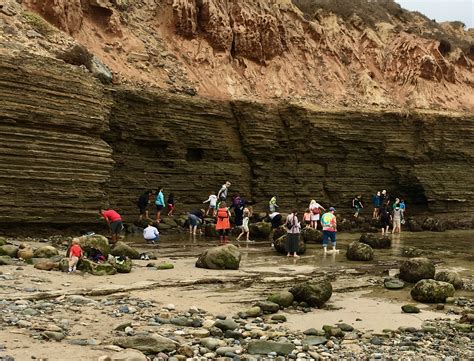 Cabrillo National Monument Tide Pools