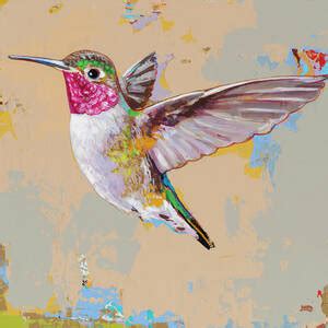 Hummingbird 3 Painting By David Palmer Fine Art America