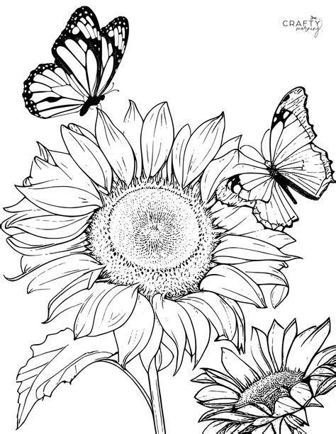 printable sunflower coloring pages 1