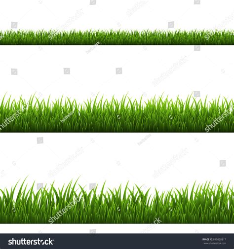 Grass Border Vector Illustration Stock Vector (Royalty Free) 699828817 ...