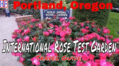 Portland: International Rose Test Garden – Video Guide - HipFig Travel ...