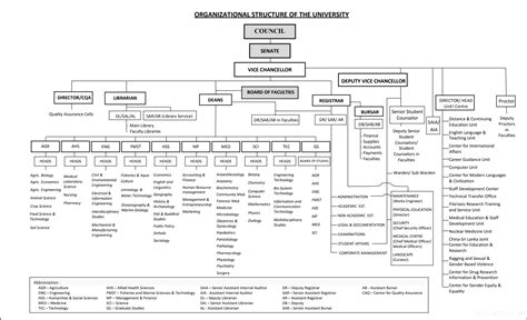 Structure Of The University