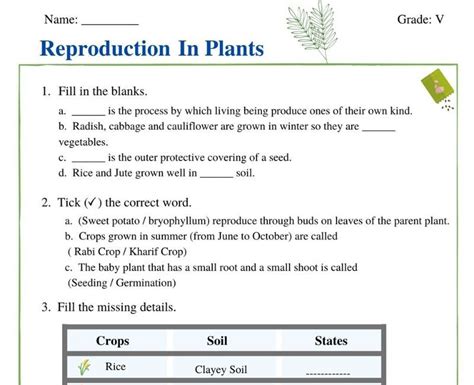 Free Reproduction In Plants Class 5th Worksheets For Teachers And