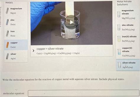 Solved Metals Metal Nitrate Magnesium Solutions Mg S Chegg