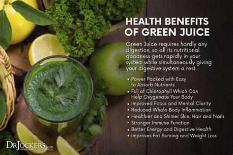 Health Benefits Of Green Juice • Nikki Kuban Minton