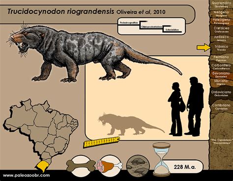 Paleozoobr Cinodontes Cynodonts Prehistoric Animals Extinct