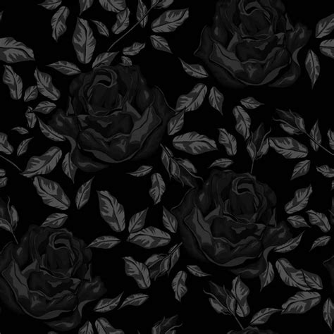 Rosas Con Fondo Negro Fotos De Stock Im Genes De Rosas Con Fondo Negro