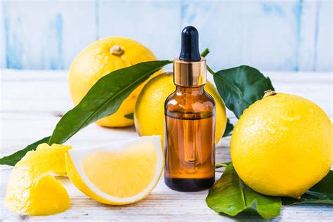 100 Herbal Bergamot Oil Citrus Bergamia For Pharma Rs 1250 Kg