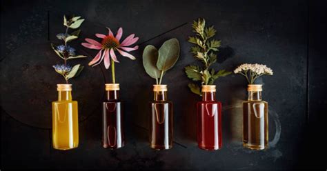 Scent National Updates A Whiff Of The Latest Trends In Perfume And