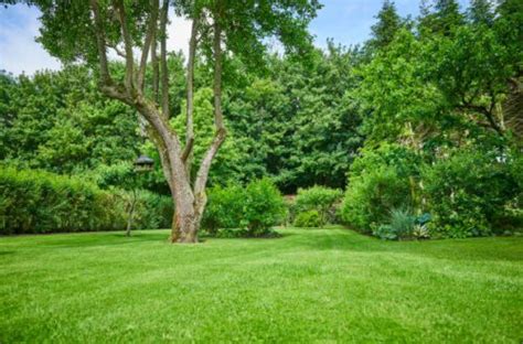 How To Make A Dildo At Home My Girly Space