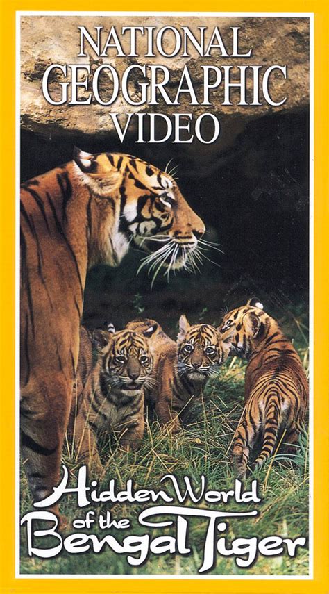 National Geographic Hidden World Of The Bengal Tiger Where To Watch