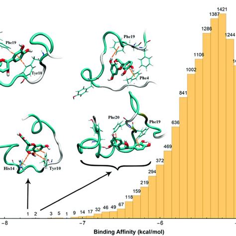 The Histogram Of Binding Affinity Kcalmol −1 Of The C Ligand In