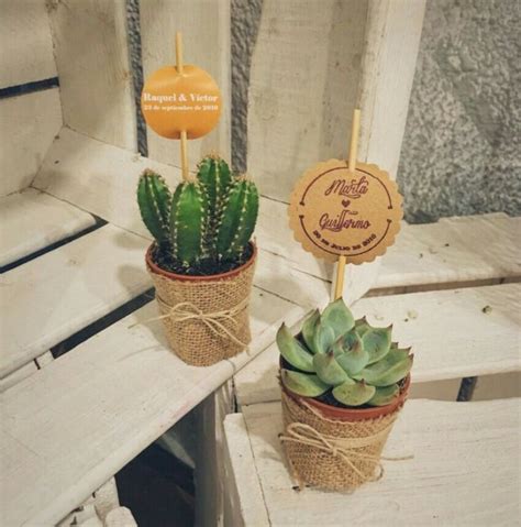 Cactus Para Bodas Boda Cactus Mini Cactus Regalos Originales