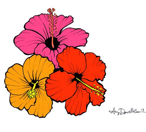 Hibiscus Flower Drawing - ClipArt Best