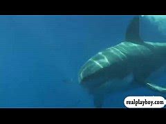 Badass Babes Swam In Shark Cage And Snowboarding While Naked Xxx Mobile Porno Videos Movies