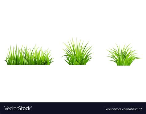 Realistic Green Grass Bushes Of Fresh Greens Vector Image