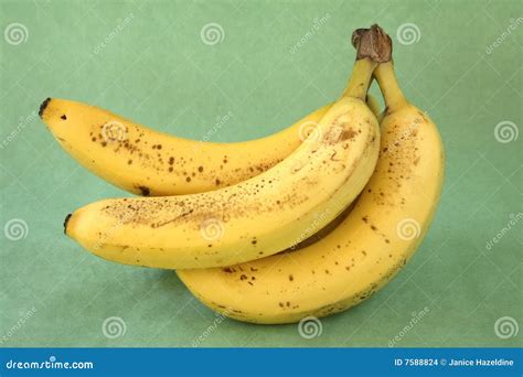 Grupo Das Bananas Do Lado Foto De Stock Imagem De Verde