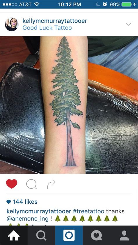 Redwood tree tattoo | Tattoos, Luck tattoo, Tree tattoo