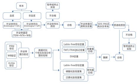 外泌体测序服务 华然腾创生物科技