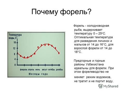 Презентация на тему: "УЧЕБНЫЕ КУРСЫ ПО РАЗВЕДЕНИЮ ФОРЕЛИ Ташкент ...