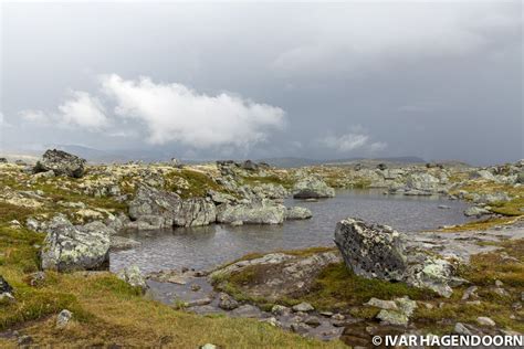 Hardangervidda National Park