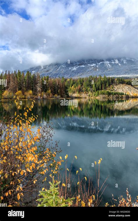 Moose Lake Hi Res Stock Photography And Images Alamy