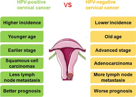 The Carcinogenesis And Worse Clinical Outcome Of Hpv Negative Cervical