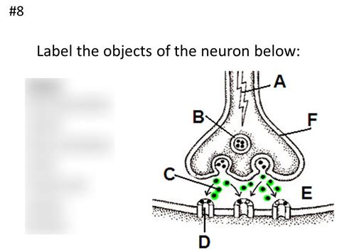 Figure 9 4 P 81 How Neurons Communicate Diagram Quizlet