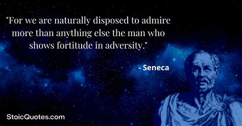 58+ Stoic Quotes on Adversity