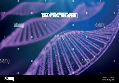 El Adn Del Genoma Ilustraci N Vectorial La Estructura Del Adn Eps