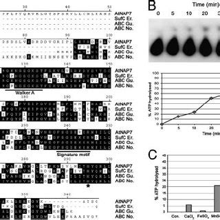 AtNAP7 Contains ABC Signature Motifs And Is An ABC ATPase A