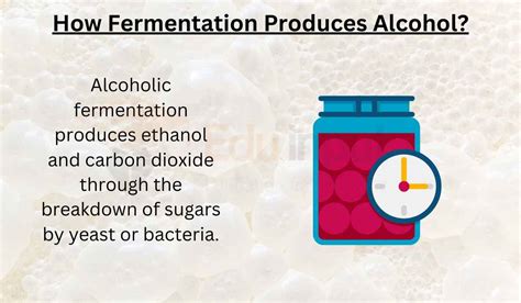 How Fermentation Produces Alcohol