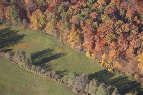 Mörfelden Walldorf aus der Vogelperspektive Meer bunt gefärbter